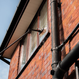 Pole fed water window cleaner